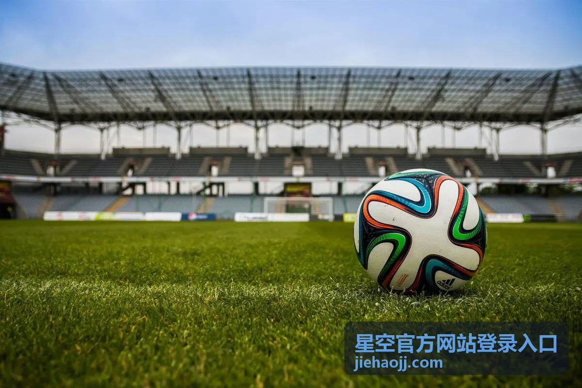 星空官方网站登录入口登录入口与账号页面示意