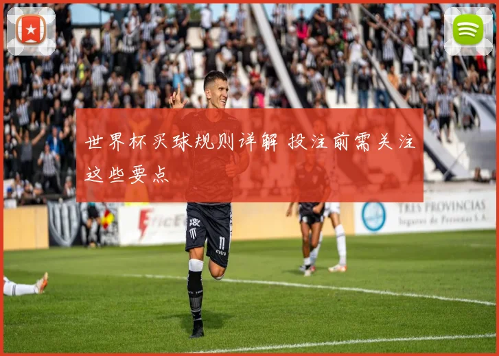 世界杯买球规则详解 投注前需关注这些要点