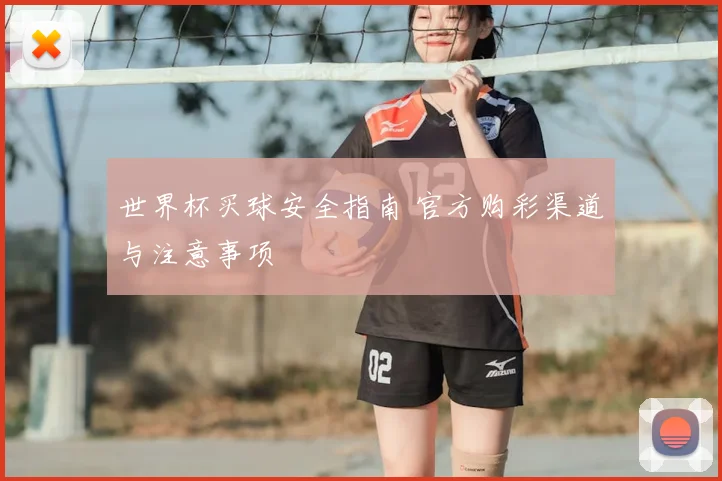 世界杯买球安全指南 官方购彩渠道与注意事项