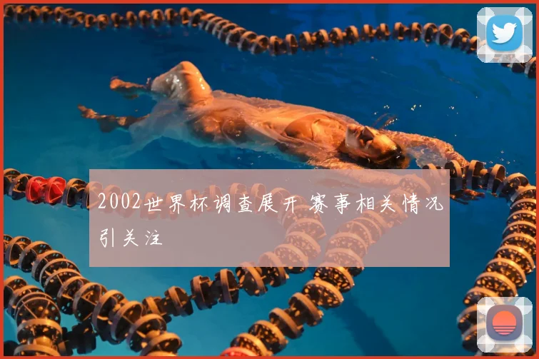 2002世界杯调查展开 赛事相关情况引关注