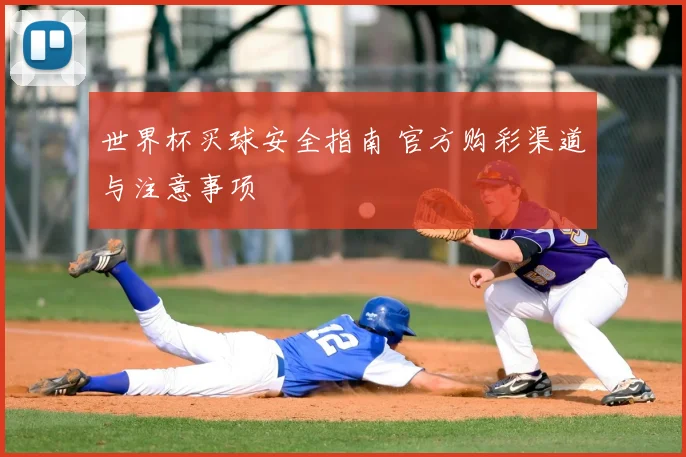 世界杯买球安全指南 官方购彩渠道与注意事项