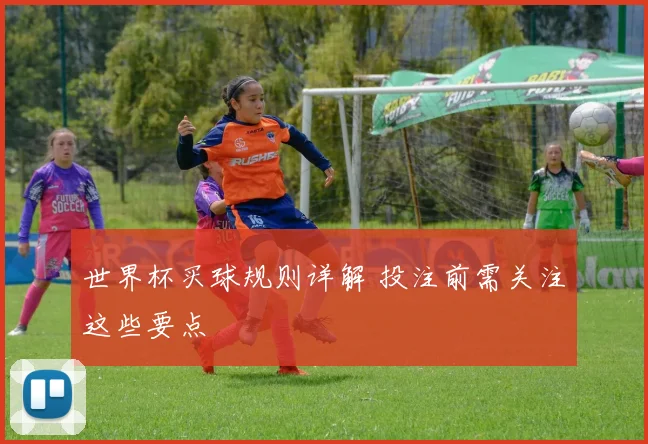 世界杯买球规则详解 投注前需关注这些要点