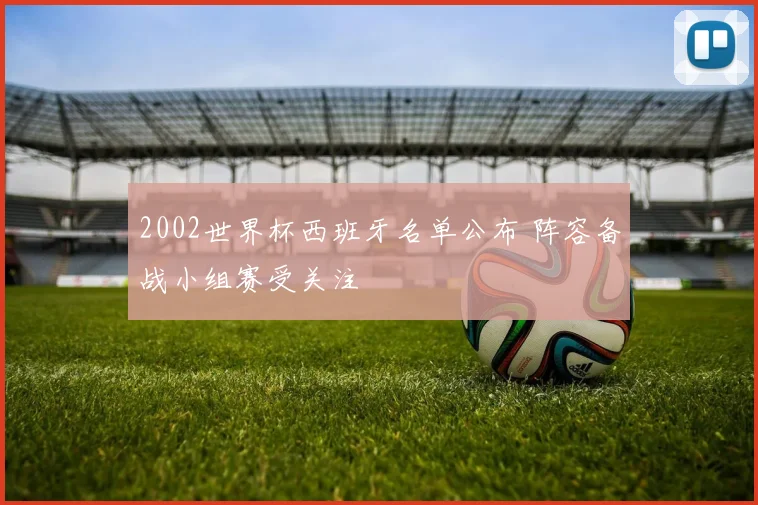 2002世界杯西班牙名单公布 阵容备战小组赛受关注